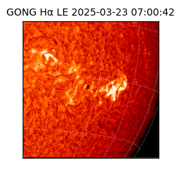 gong - 2025-03-23T07:00:42