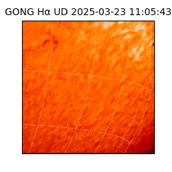 gong - 2025-03-23T11:05:43