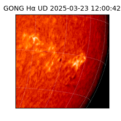 gong - 2025-03-23T12:00:42