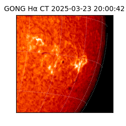 gong - 2025-03-23T20:00:42