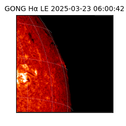 gong - 2025-03-23T06:00:42
