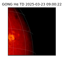 gong - 2025-03-23T09:00:22