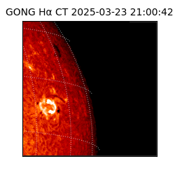 gong - 2025-03-23T21:00:42