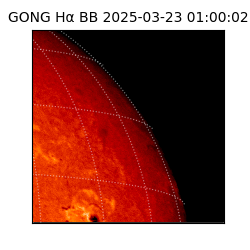 gong - 2025-03-23T01:00:02