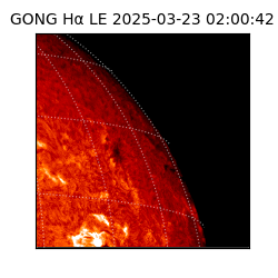 gong - 2025-03-23T02:00:42
