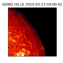 gong - 2025-03-23T04:00:42