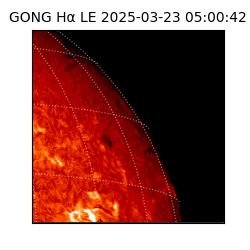 gong - 2025-03-23T05:00:42