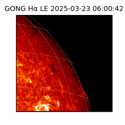 gong - 2025-03-23T06:00:42