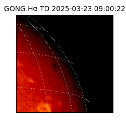 gong - 2025-03-23T09:00:22