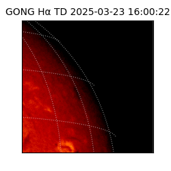 gong - 2025-03-23T16:00:22