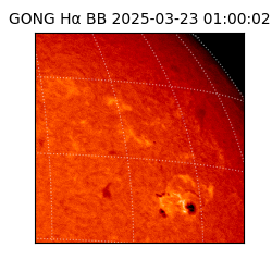 gong - 2025-03-23T01:00:02