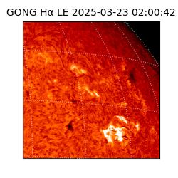 gong - 2025-03-23T02:00:42