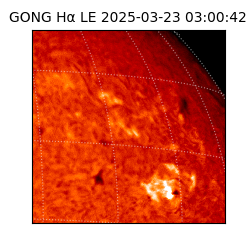 gong - 2025-03-23T03:00:42