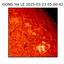 gong - 2025-03-23T05:00:42