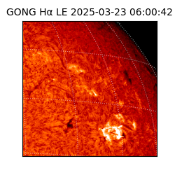 gong - 2025-03-23T06:00:42