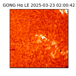 gong - 2025-03-23T02:00:42