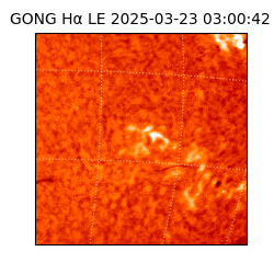 gong - 2025-03-23T03:00:42