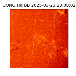 gong - 2025-03-23T23:00:02