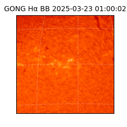 gong - 2025-03-23T01:00:02