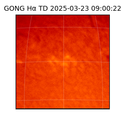 gong - 2025-03-23T09:00:22