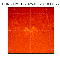 gong - 2025-03-23T10:00:22