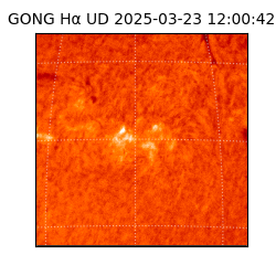 gong - 2025-03-23T12:00:42