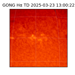 gong - 2025-03-23T13:00:22