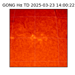 gong - 2025-03-23T14:00:22