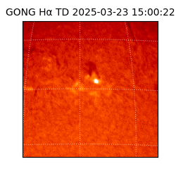 gong - 2025-03-23T15:00:22