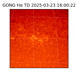 gong - 2025-03-23T16:00:22