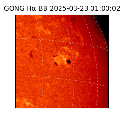 gong - 2025-03-23T01:00:02