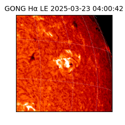 gong - 2025-03-23T04:00:42