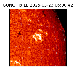 gong - 2025-03-23T06:00:42
