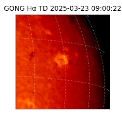 gong - 2025-03-23T09:00:22