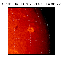 gong - 2025-03-23T14:00:22