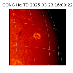 gong - 2025-03-23T16:00:22
