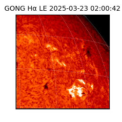 gong - 2025-03-23T02:00:42