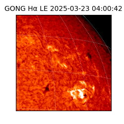 gong - 2025-03-23T04:00:42