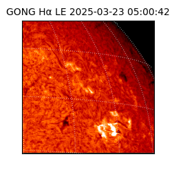 gong - 2025-03-23T05:00:42
