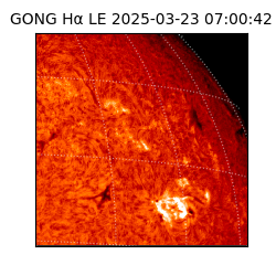 gong - 2025-03-23T07:00:42