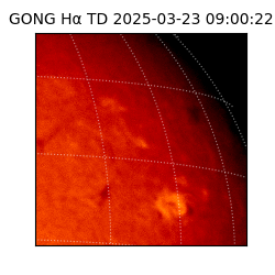 gong - 2025-03-23T09:00:22