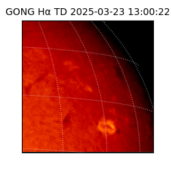 gong - 2025-03-23T13:00:22