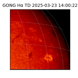 gong - 2025-03-23T14:00:22