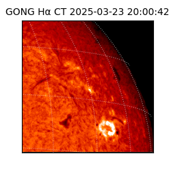 gong - 2025-03-23T20:00:42