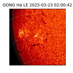 gong - 2025-03-23T02:00:42