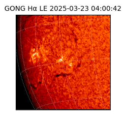 gong - 2025-03-23T04:00:42