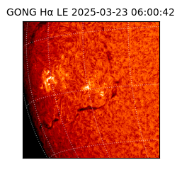 gong - 2025-03-23T06:00:42
