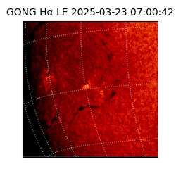 gong - 2025-03-23T07:00:42