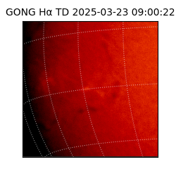 gong - 2025-03-23T09:00:22