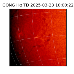 gong - 2025-03-23T10:00:22